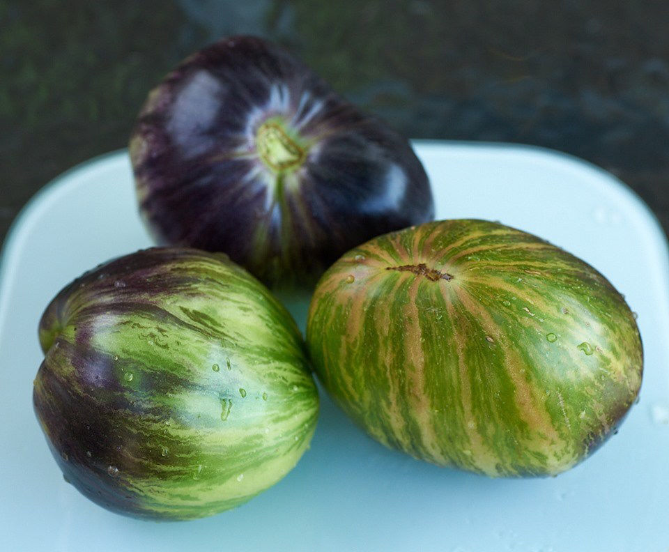 Your store. Rebel Starfighter VT16